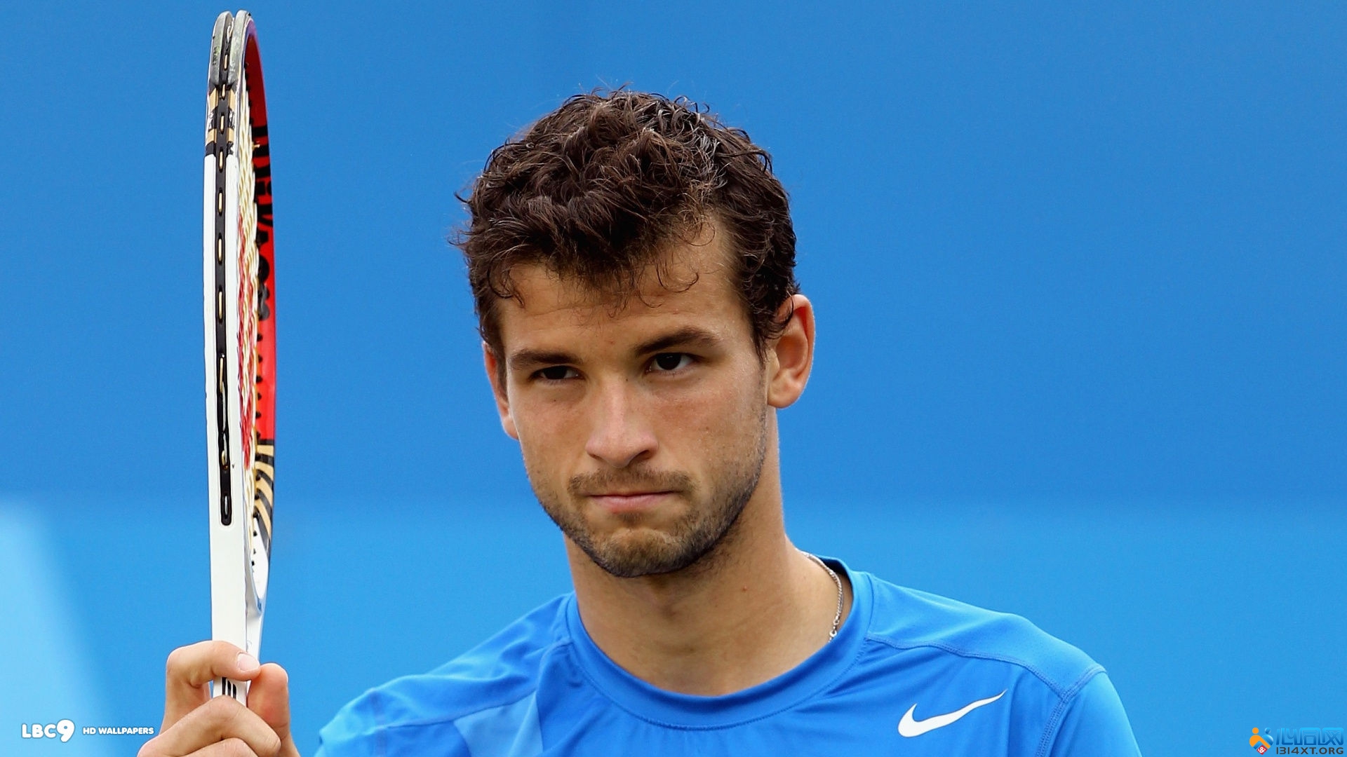 本文将深入 本文将深入