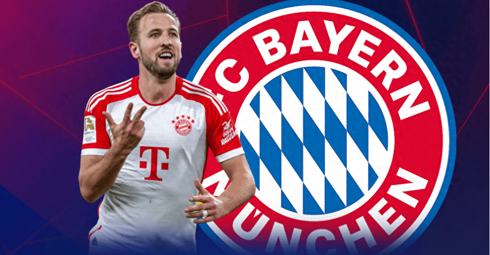 们提供一些 们提供一些